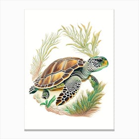 Nesting Sea Turtle, Sea Turtle Vintage 1 Canvas Print