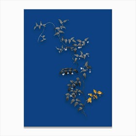 Vintage Bridal Creeper Black and White Gold Leaf Floral Art on Midnight Blue n.0284 Canvas Print
