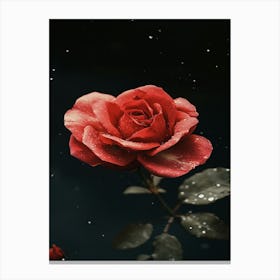 Red Rose 41 Canvas Print