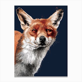 The Fox 2 Canvas Print