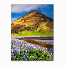 Lupines In Iceland Canvas Print
