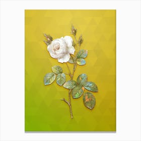 Vintage White Misty Rose Botanical Art on Empire Yellow n.1011 Canvas Print