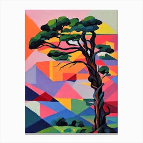 Bristlecone Pine Tree Cubist 2 Canvas Print