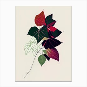 Pacific Poison Ivy Minimal Line Drawing 3 Canvas Print