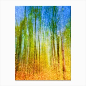 Dusk In The Forest Canvas Print