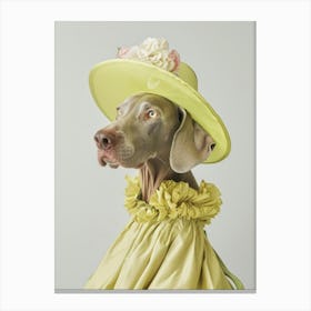 Dog In A Dress Canvas Print