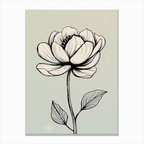 Line Art Lotus Flowers Illustration Neutral 8 Canvas Print