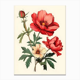 Red Poppy Flower Canvas Print