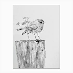 Robin Canvas Print