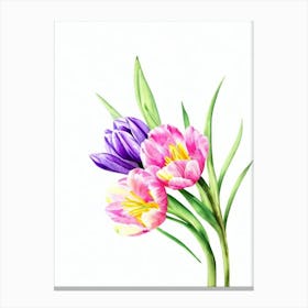 Tulips Watercolour Flower Canvas Print