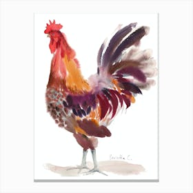 Crasy Rooster Canvas Print