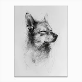 Shiba Inu Dog Charcoal Line 4 Canvas Print