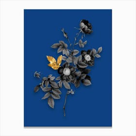 Vintage Alpine Rose Black and White Gold Leaf Floral Art on Midnight Blue n.0189 Canvas Print