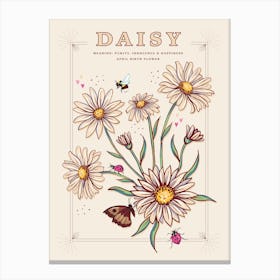 April Birth Flower Daisy On Cream Canvas Print