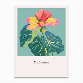 Nasturtium 3 Square Flower Illustration Poster Canvas Print