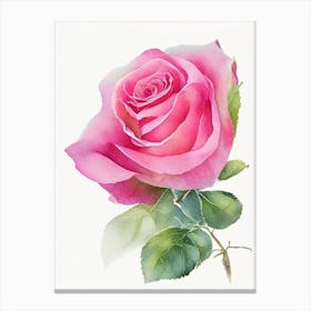 Rose Wildflower Watercolour 1 Canvas Print