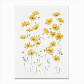 Yellow Cosmos Flowers Canvas Print