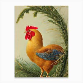 Chicken Haeckel Style Vintage Illustration Bird Canvas Print