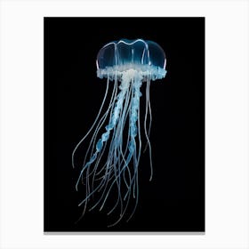 Box Jellyfish Luminous 2 Canvas Print