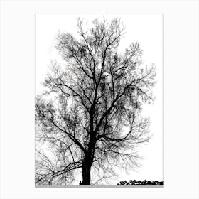 Silhouette Of Bare Tree Black And White 3 Canvas Print