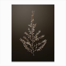 Gold Botanical Sea Asparagus on Chocolate Brown n.4579 Canvas Print