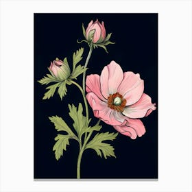 Anemone Flower Canvas Print