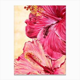 Hibiscus Flowers Canvas Print