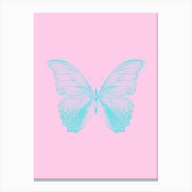 Blue Butterfly On Pink Background Canvas Print