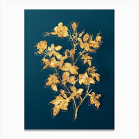 Vintage Pink Flowering Rosebush Botanical in Gold on Teal Blue n.0279 Canvas Print