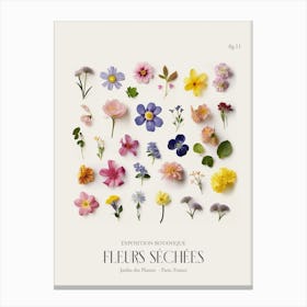 Fleurs Sechees, Dried Flowers Exhibition Poster 11 Canvas Print
