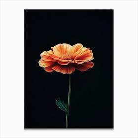 Orange Flower 14 Canvas Print