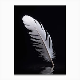 White Feather On A Black Background Canvas Print