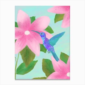 Hummingbird Pink Haven Canvas Print