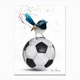 World Cup Wren Canvas Print