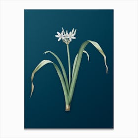 Vintage Small Flowered Pancratium Botanical Art on Teal Blue n.0657 Canvas Print