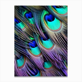 Peacock Feathers 12 Canvas Print