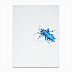 Blue Lobster Black & White Drawing Canvas Print