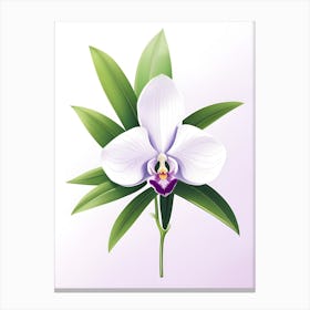 Orchid Flower Vector Canvas Print