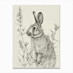 Satin Rabbit Drawing 2 Canvas Print