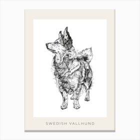 Swedish Vallhund Dog Line Sketch 2 Poster Canvas Print