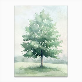 Poplar Tree Atmospheric Watercolour Painting 4 Canvas Print