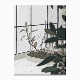 Plant In The Window Canvas Print