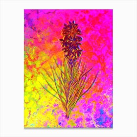 Yellow Asphodel Botanical in Acid Neon Pink Green and Blue n.0007 Canvas Print