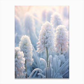 Frosty Botanical Hyacinth 2 Canvas Print