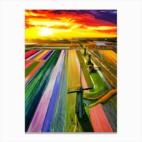 Coloured Tulip Fields Blooming During Springtime At Sunrise In The Netherlands Canvas Print