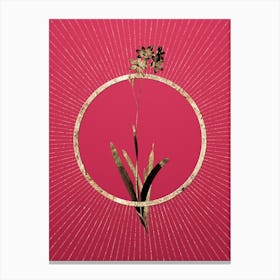 Gold Corn Lily Glitter Ring Botanical Art on Viva Magenta n.0316 Canvas Print