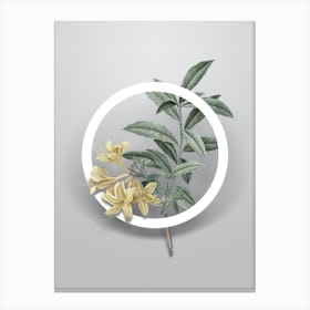 Vintage Yellow Azalea Minimalist Flower Geometric Circle on Soft Gray n.0404 Canvas Print