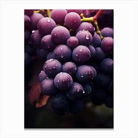 Grapes On The Vine 1 Canvas Print