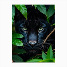 Black Panther Canvas Print