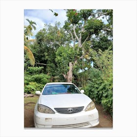 White Car Parked In A Garden Canvas Print